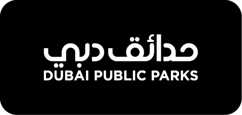 ICON Clients 2024 Seperate White-44